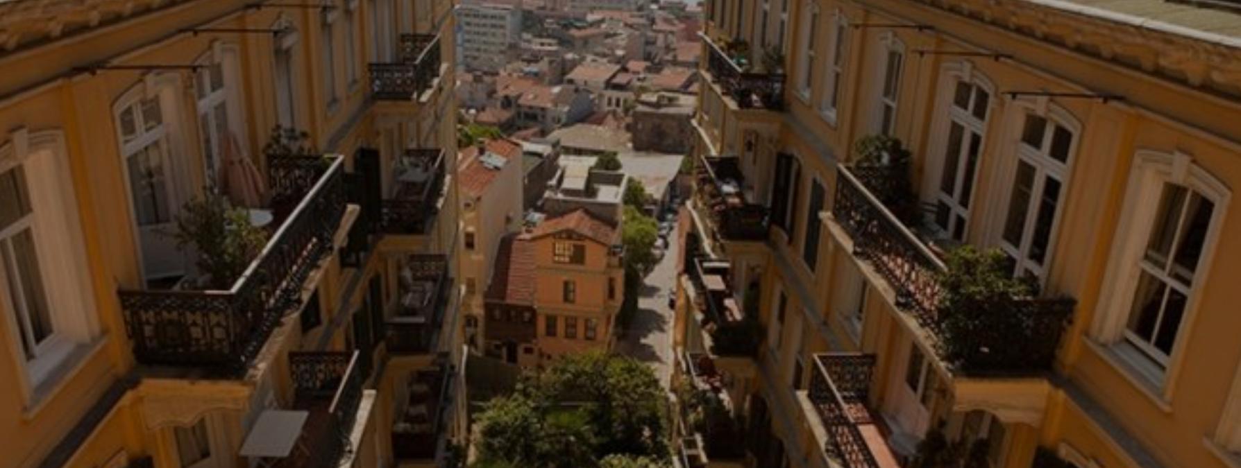 The Monochrome Screen and Our Vivid Lives