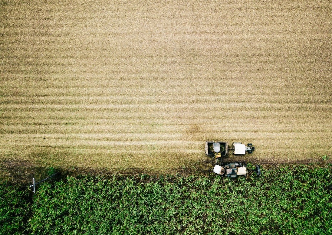 Two Narratives, One Sector: Türkiye’s Agriculture Under Pressure